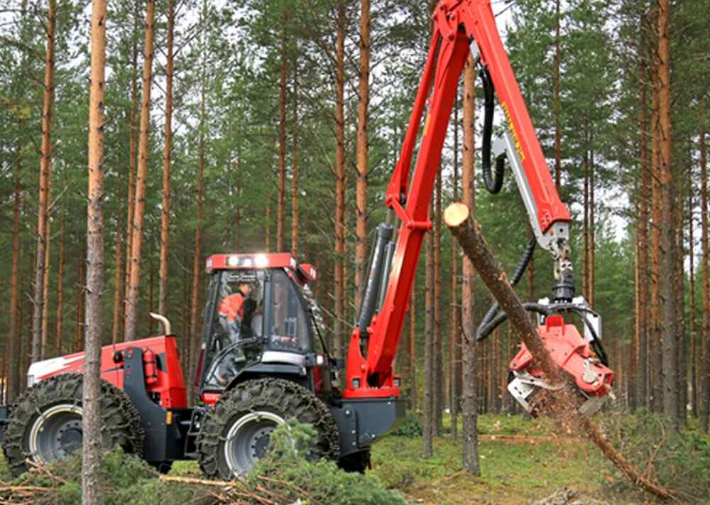 Forestry Industry